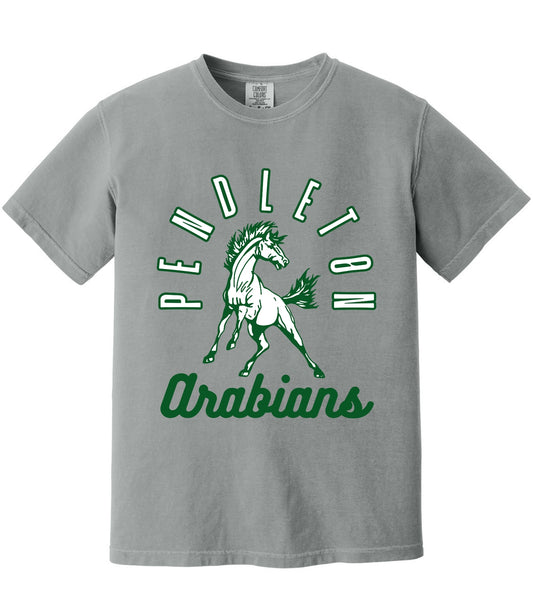 Pendleton Arabians Vintage Tee