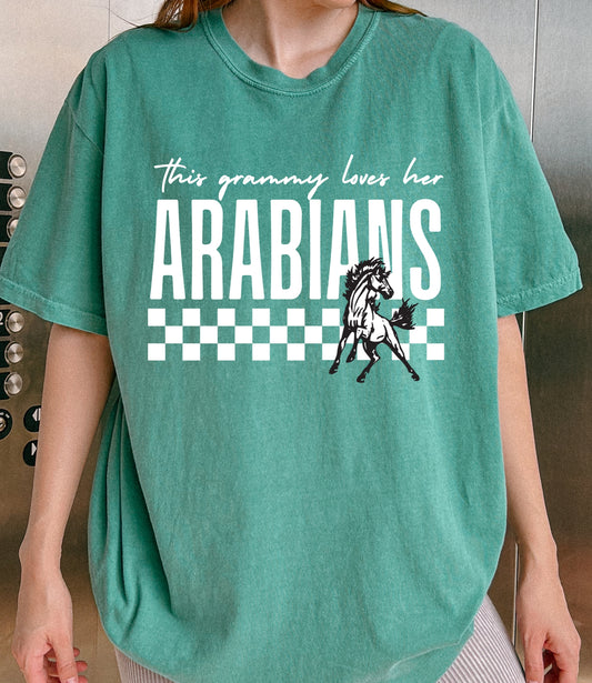 This *custom* love his/her Arabians tee