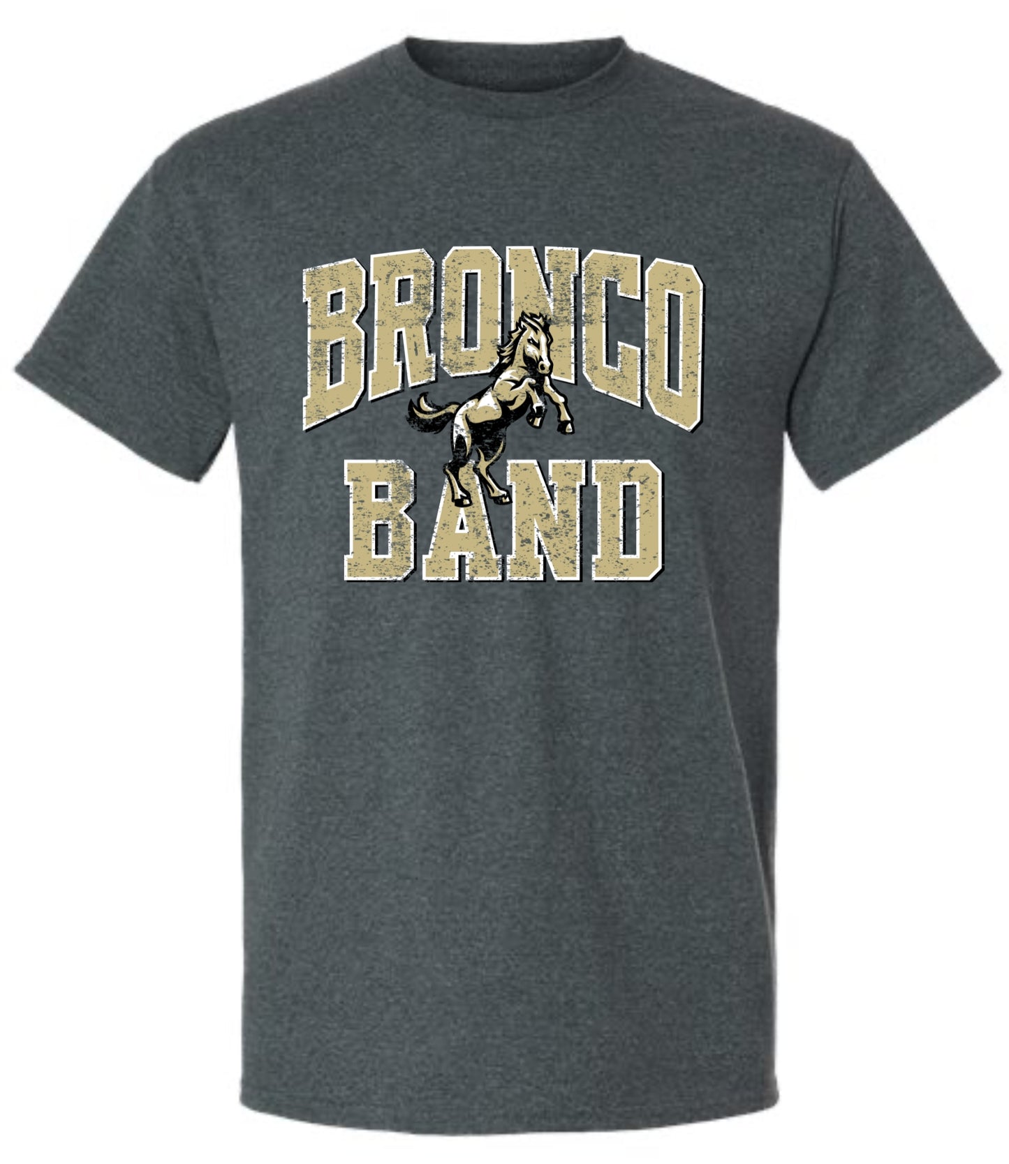 Vintage Bronco Band