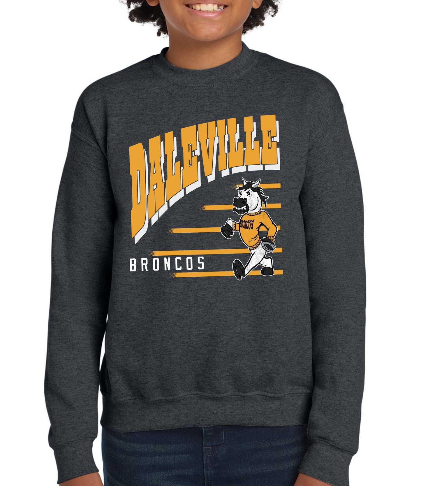 Daleville Vintage Lines Sweatshirt