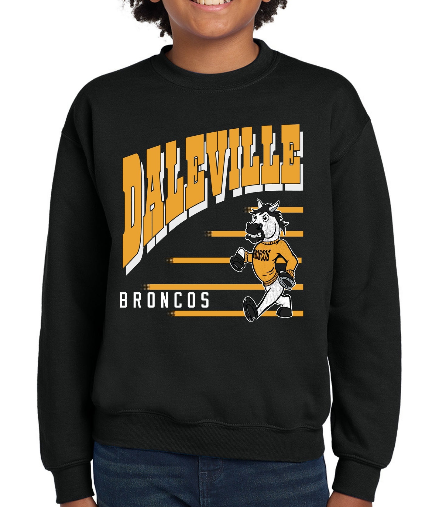 Daleville Vintage Lines Sweatshirt