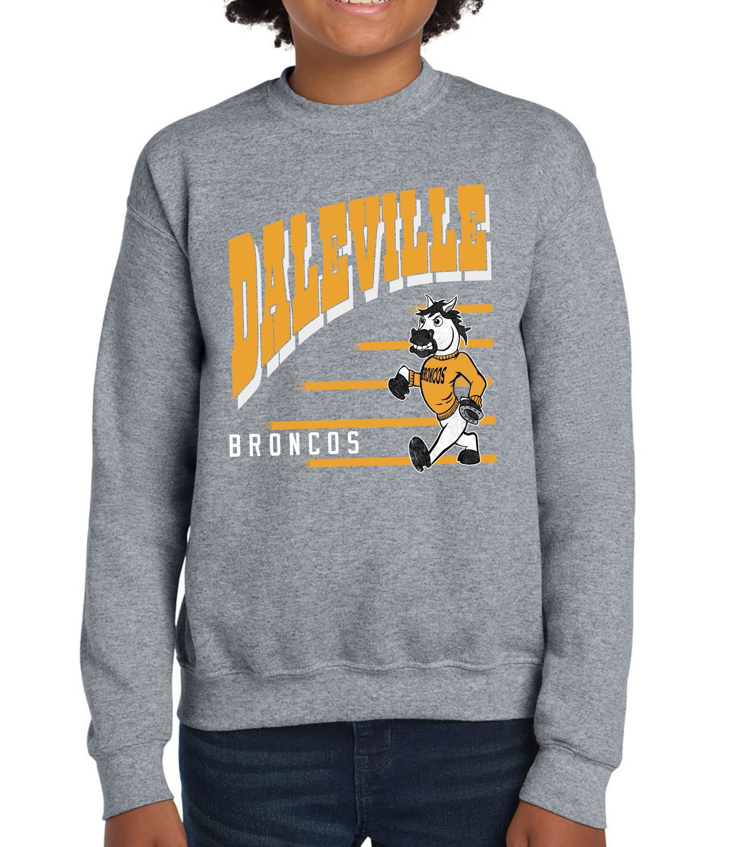 Daleville Vintage Lines Sweatshirt