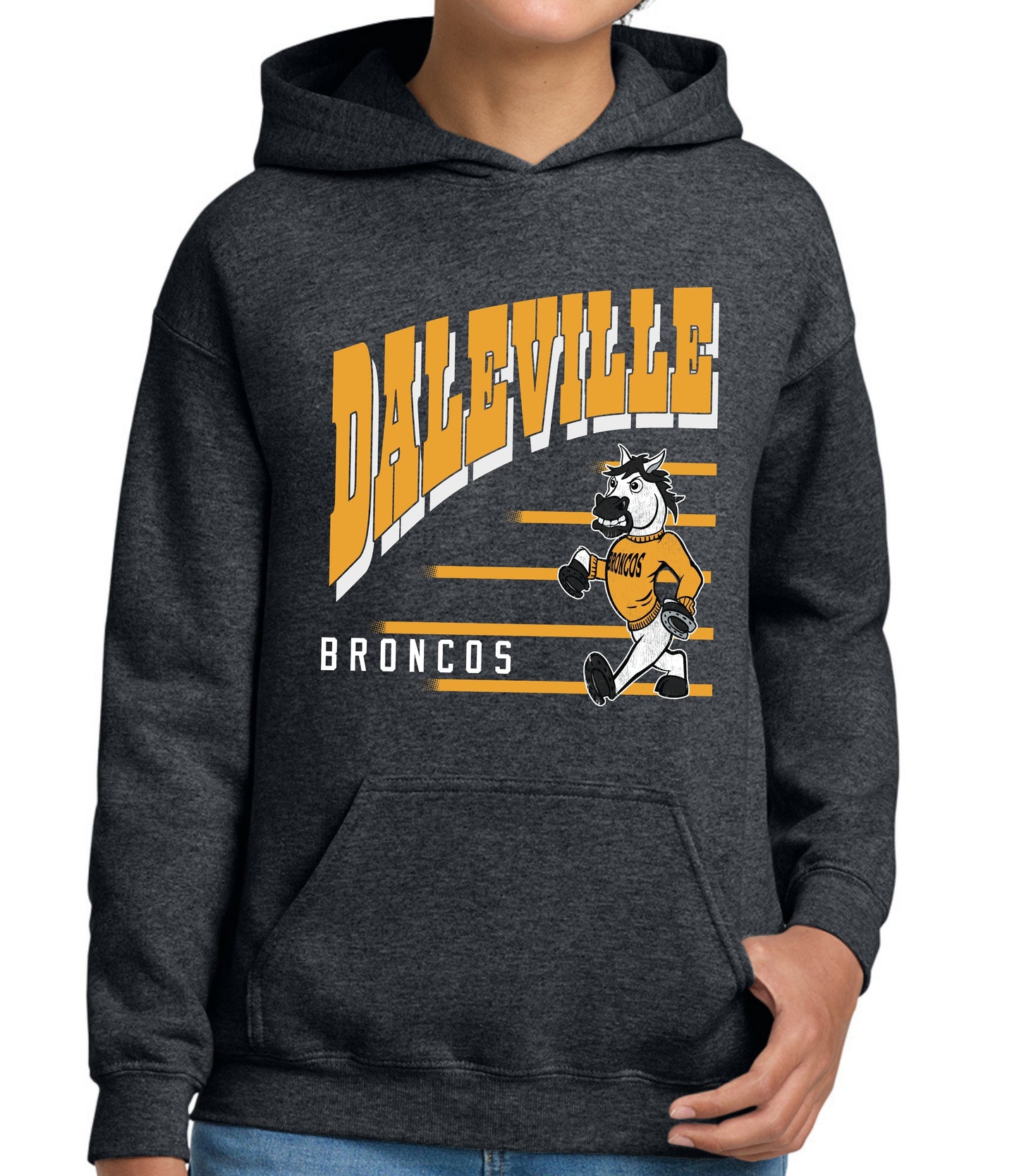 Daleville Vintage Lines Sweatshirt