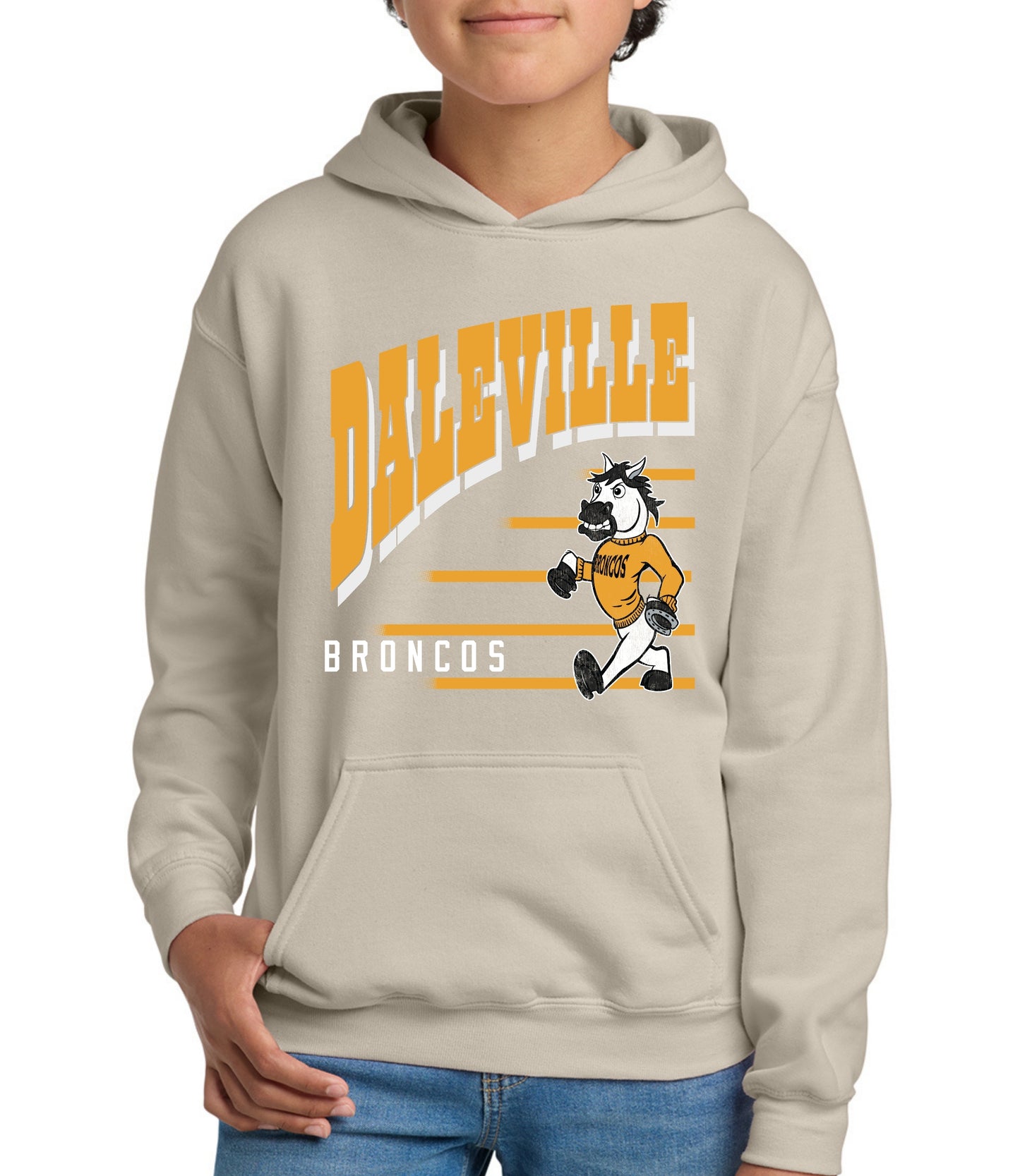 Daleville Vintage Lines Sweatshirt