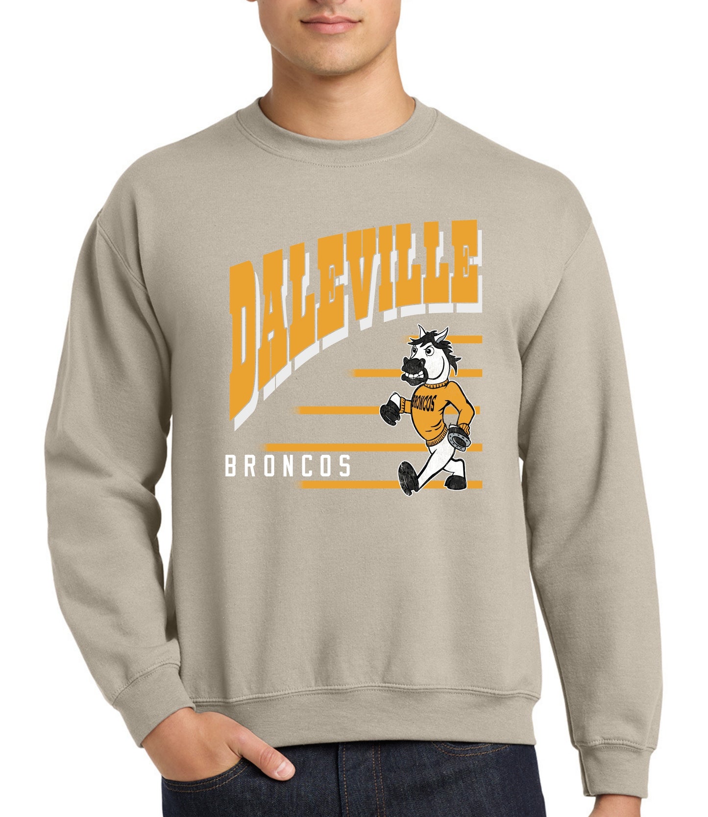 Daleville Vintage Lines Sweatshirt