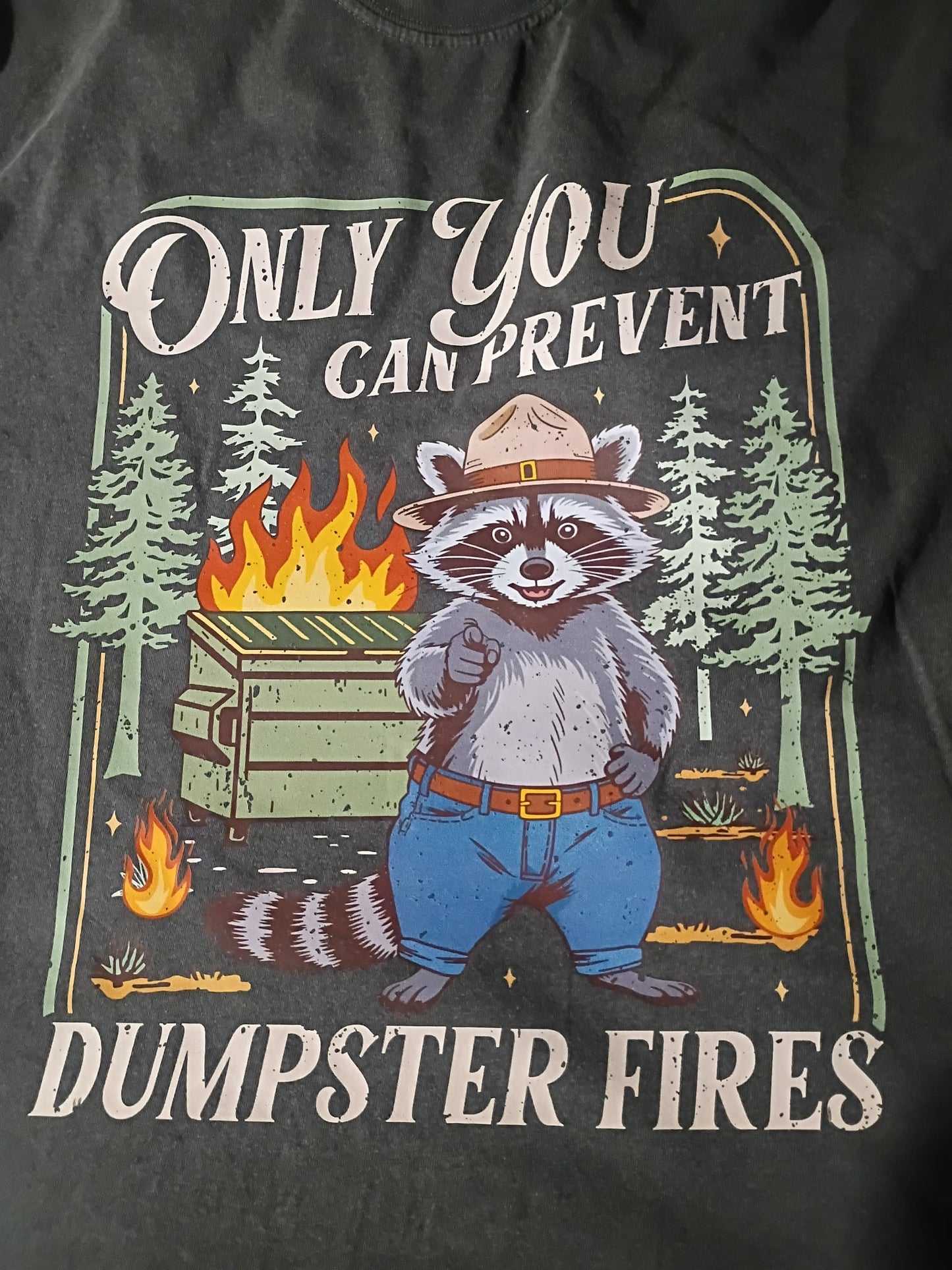 Comfort Colors Dumpster Fires As Is