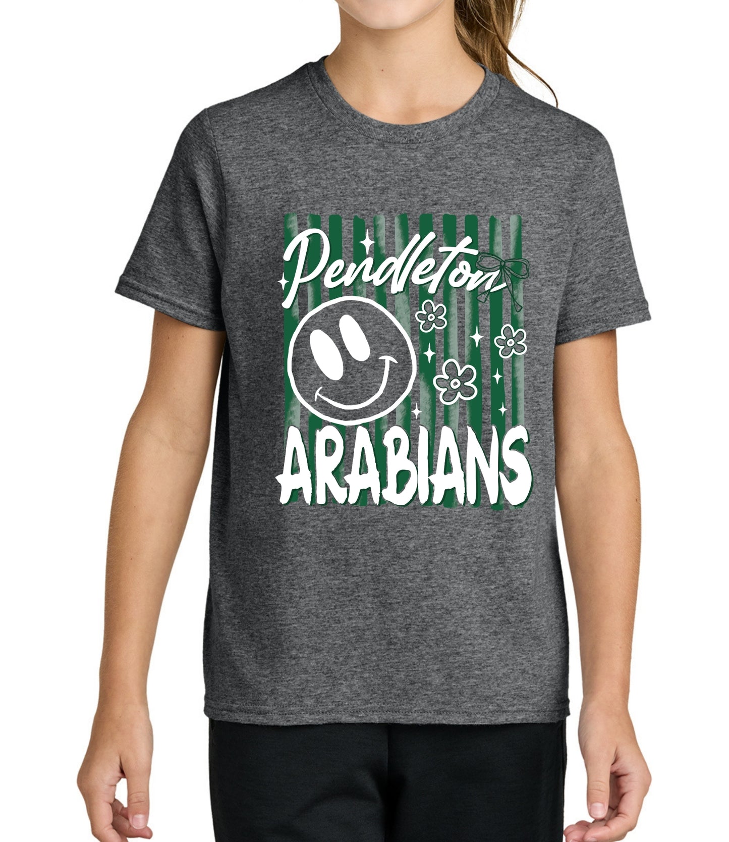 Pendleton Arabians Preppy Stripe Tee