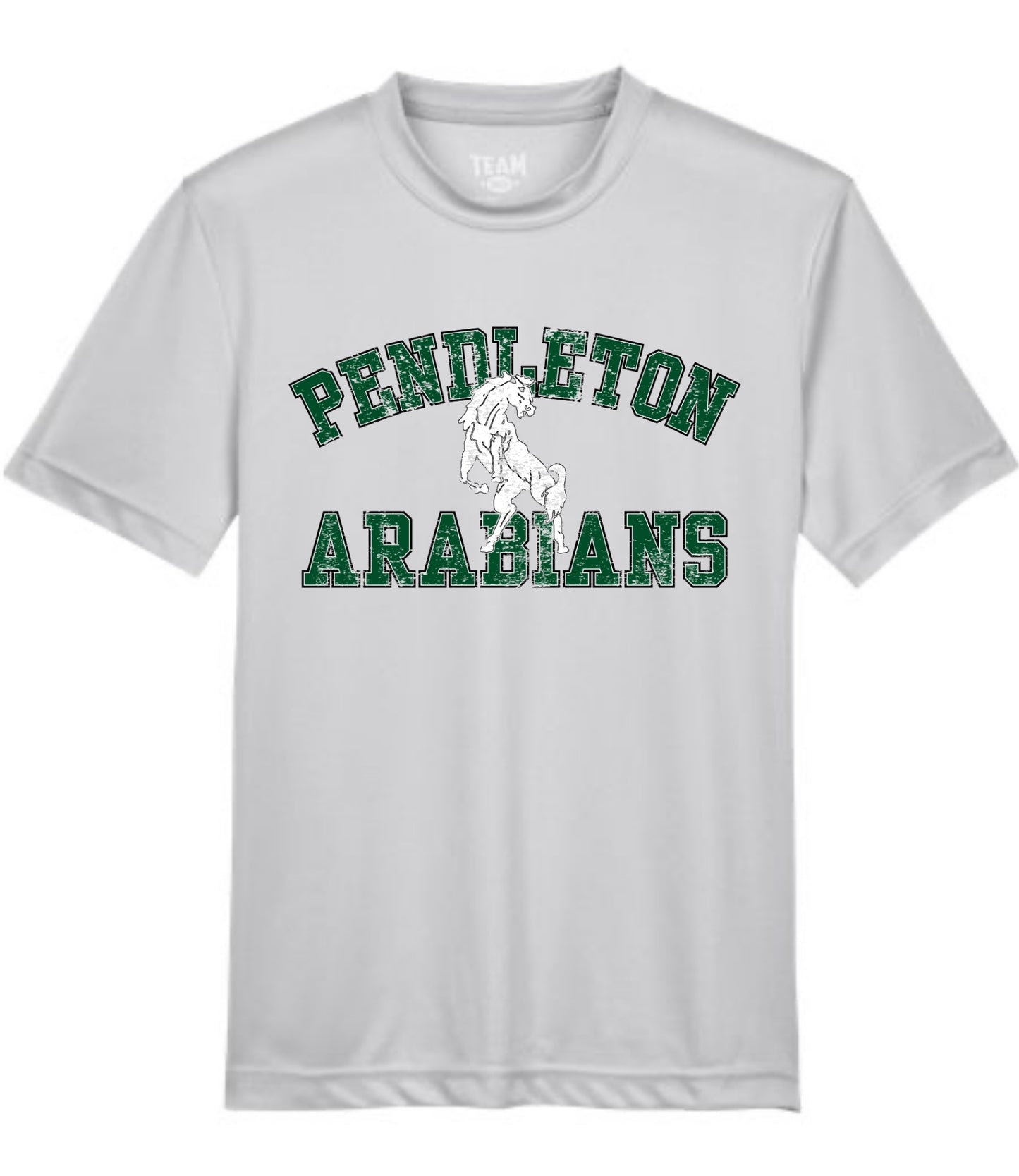 Pendleton Arabians Block Mascot Tee