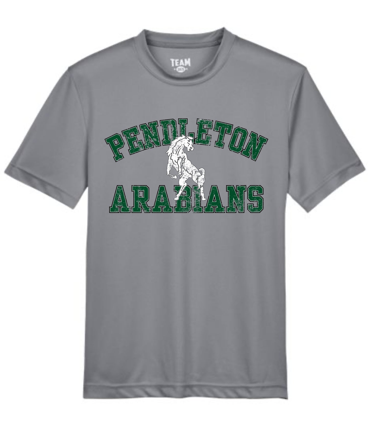 Pendleton Arabians Block Mascot Tee