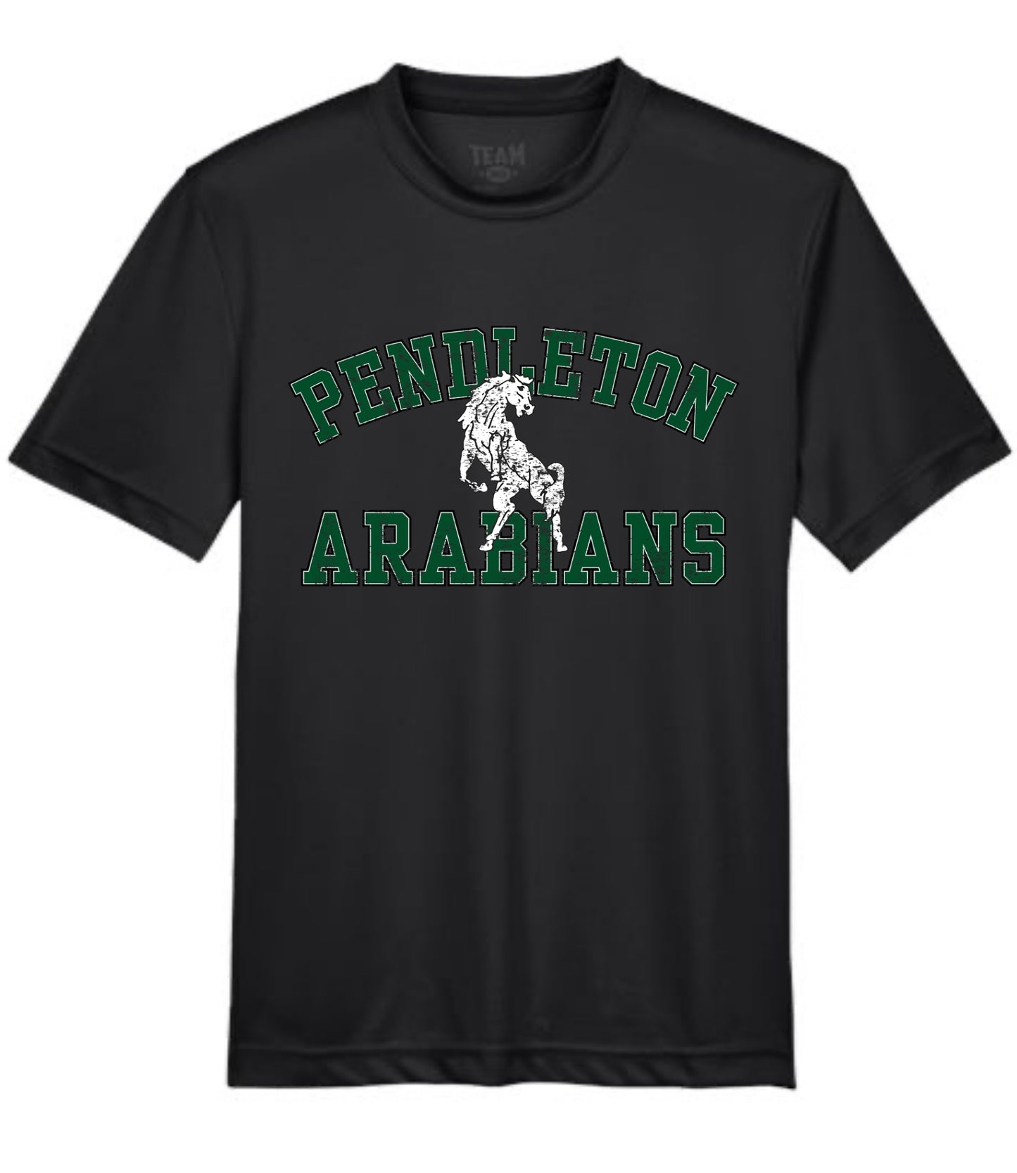 Pendleton Arabians Block Mascot Tee