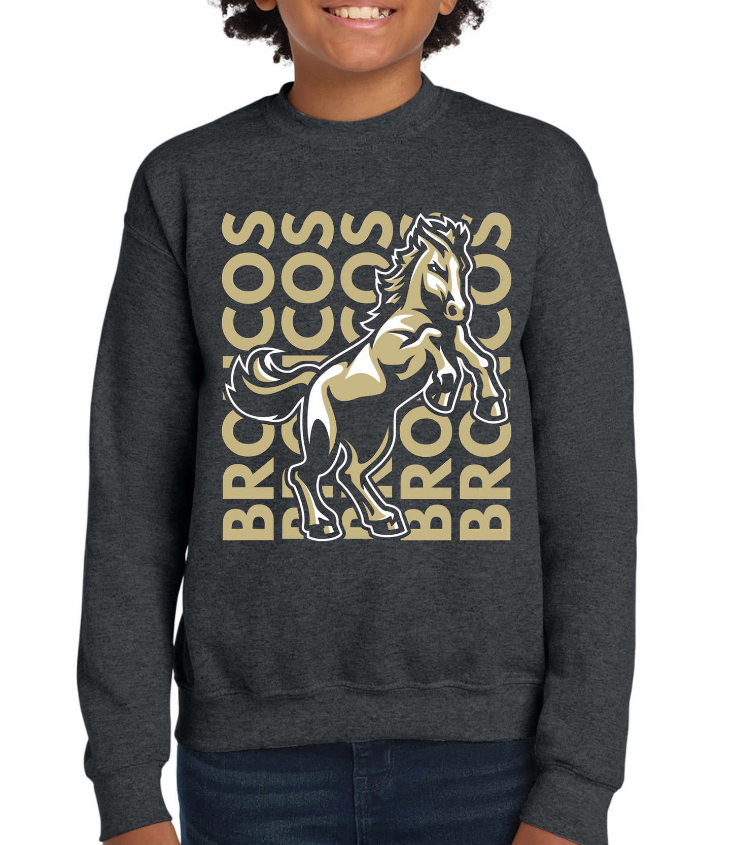 Broncos Vertical Sweatshirt
