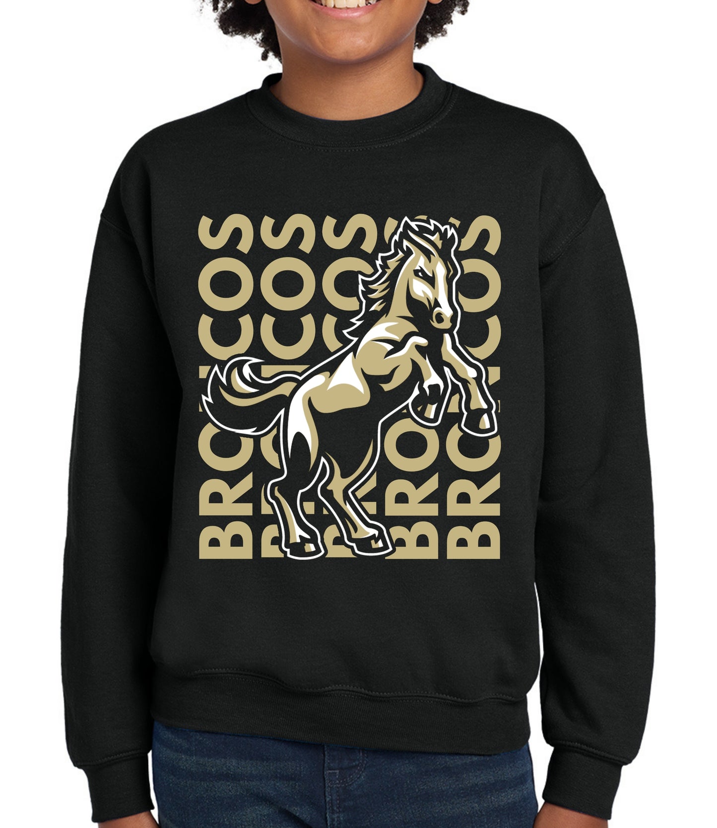 Broncos Vertical Sweatshirt