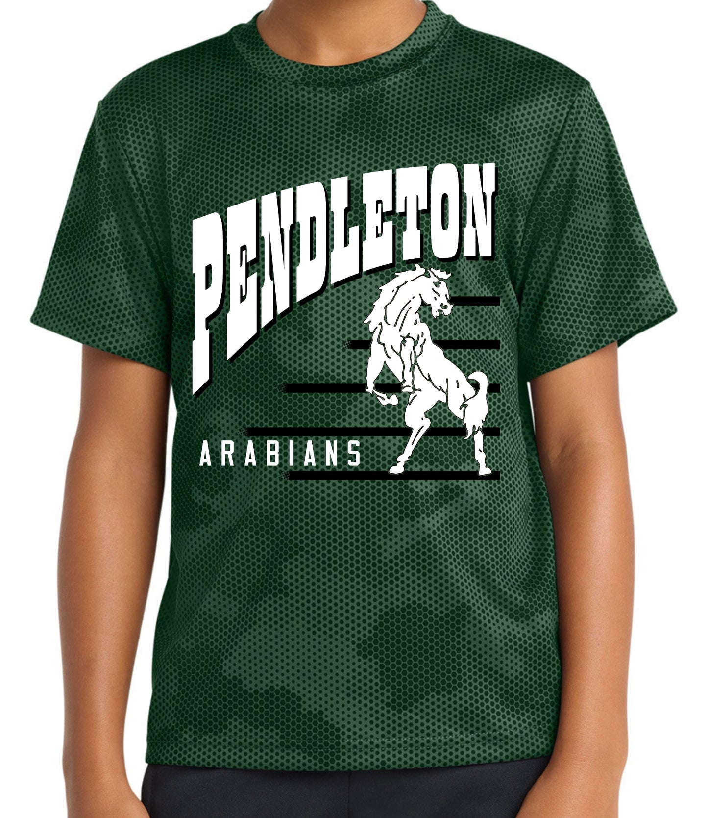Pendleton Vintage Lines Tee