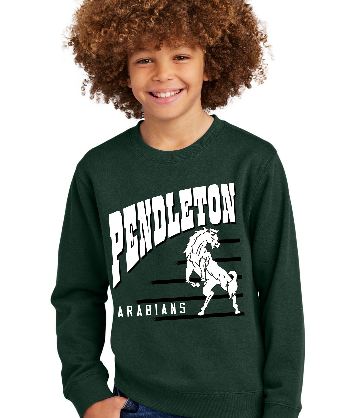 Pendleton Vintage Lines Sweatshirt