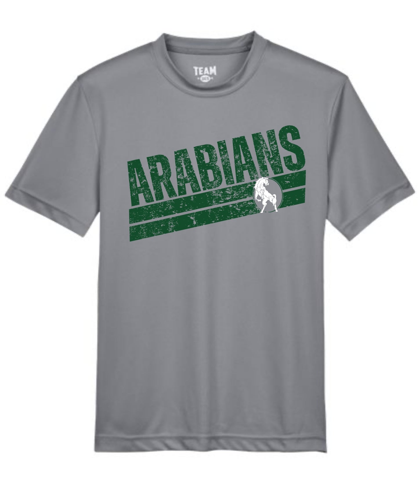 Arabians Slant Tee