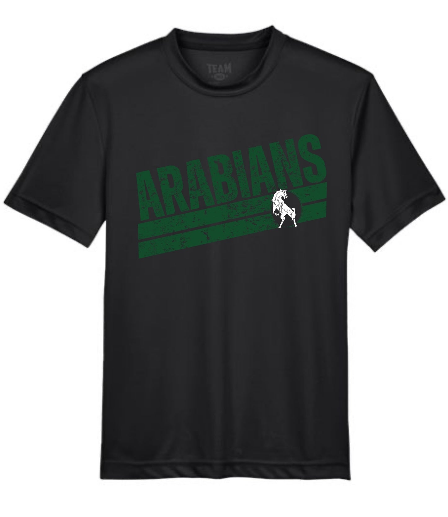 Arabians Slant Tee