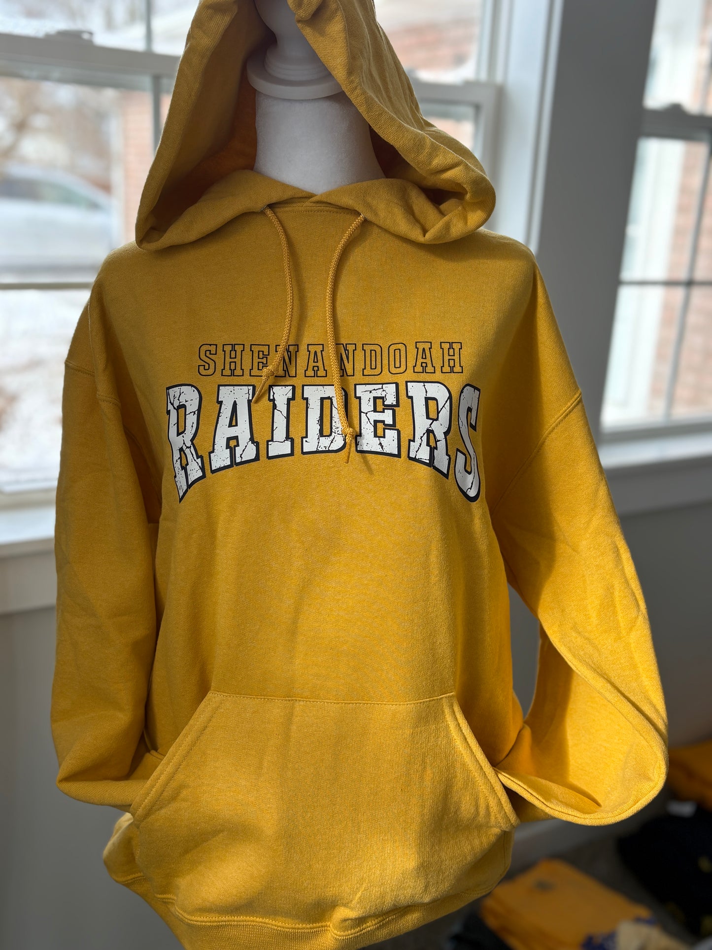 Shenandoah Raiders Rocks Hoodie